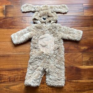 Pottery Barn Puppy Costume
